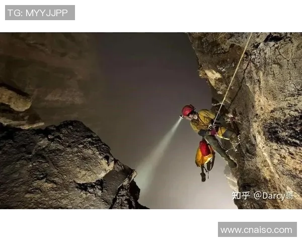 聚焦极限运动：成都极限运动队的团队协作话题