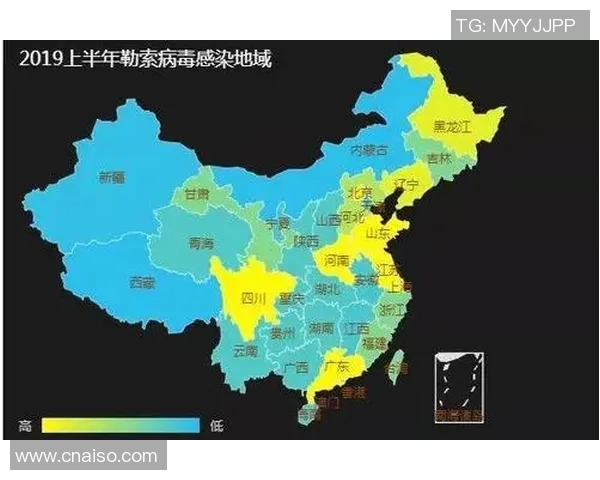 重磅专题：西安篮球队的控制革新